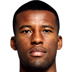 吉奥吉尼奥·维纳尔杜姆